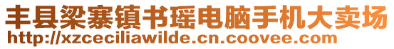 豐縣梁寨鎮(zhèn)書瑤電腦手機(jī)大賣場