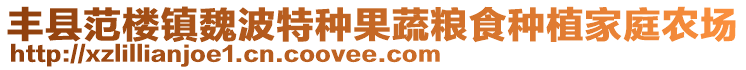 豐縣范樓鎮(zhèn)魏波特種果蔬糧食種植家庭農(nóng)場(chǎng)