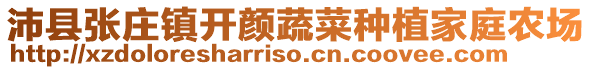 沛县张庄镇开颜蔬菜种植家庭农场