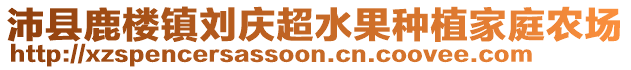 沛縣鹿樓鎮劉慶超水果種植家庭農場