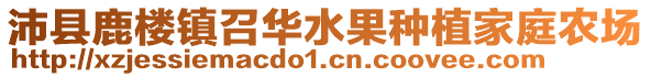 沛縣鹿樓鎮召華水果種植家庭農場