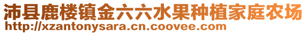 沛縣鹿樓鎮金六六水果種植家庭農場