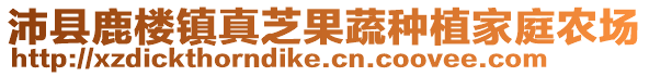 沛縣鹿樓鎮(zhèn)真芝果蔬種植家庭農(nóng)場
