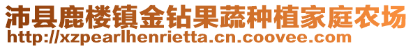 沛縣鹿樓鎮(zhèn)金鉆果蔬種植家庭農(nóng)場(chǎng)
