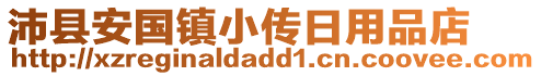 沛县安国镇小传日用品店