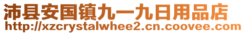 沛县安国镇九一九日用品店