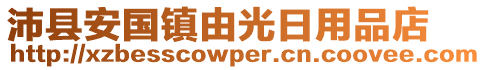 沛縣安國鎮(zhèn)由光日用品店