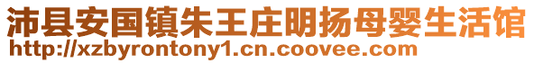 沛縣安國(guó)鎮(zhèn)朱王莊明揚(yáng)母嬰生活館