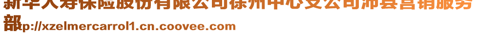 新華人壽保險股份有限公司徐州中心支公司沛縣營銷服務
部