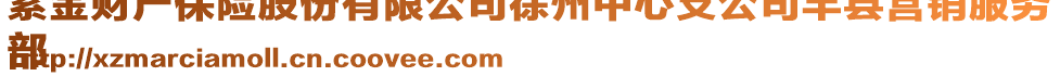 紫金財(cái)產(chǎn)保險(xiǎn)股份有限公司徐州中心支公司豐縣營銷服務(wù)
部