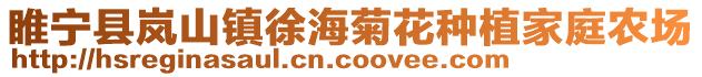 睢寧縣嵐山鎮徐海菊花種植家庭農場