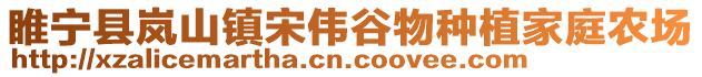 睢寧縣嵐山鎮宋偉谷物種植家庭農場