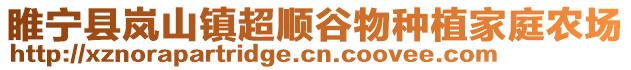 睢寧縣嵐山鎮超順谷物種植家庭農場