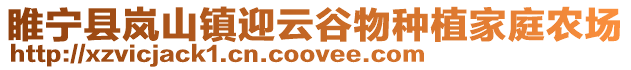 睢寧縣嵐山鎮迎云谷物種植家庭農場
