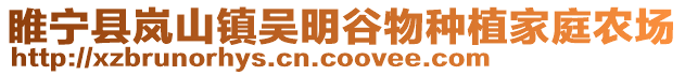 睢寧縣嵐山鎮吳明谷物種植家庭農場