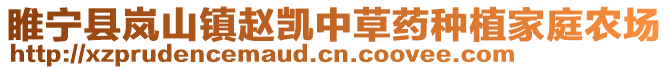 睢寧縣嵐山鎮(zhèn)趙凱中草藥種植家庭農(nóng)場(chǎng)