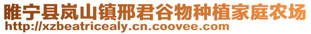 睢寧縣嵐山鎮邢君谷物種植家庭農場