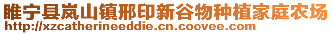 睢寧縣嵐山鎮(zhèn)邢印新谷物種植家庭農(nóng)場