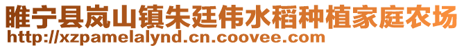 睢寧縣嵐山鎮朱廷偉水稻種植家庭農場