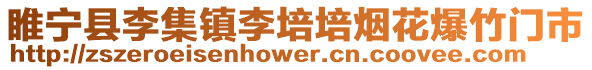 睢寧縣李集鎮李培培煙花爆竹門市