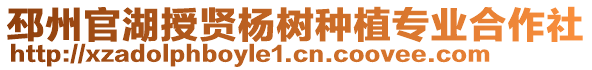 邳州官湖授賢楊樹種植專業(yè)合作社