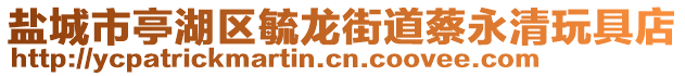 鹽城市亭湖區(qū)毓龍街道蔡永清玩具店