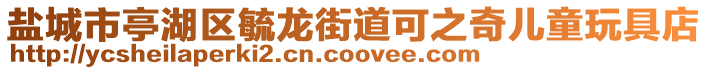 鹽城市亭湖區(qū)毓龍街道可之奇兒童玩具店