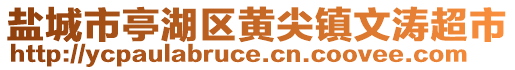 鹽城市亭湖區(qū)黃尖鎮(zhèn)文濤超市