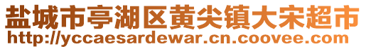 鹽城市亭湖區(qū)黃尖鎮(zhèn)大宋超市