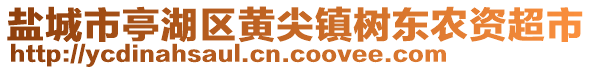 鹽城市亭湖區(qū)黃尖鎮(zhèn)樹東農(nóng)資超市