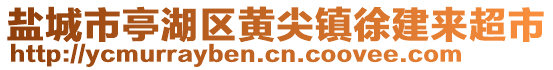 鹽城市亭湖區(qū)黃尖鎮(zhèn)徐建來超市