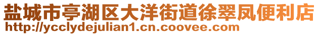 盐城市亭湖区大洋街道徐翠凤便利店