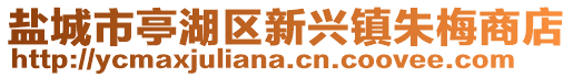 鹽城市亭湖區(qū)新興鎮(zhèn)朱梅商店