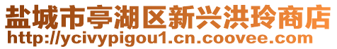 鹽城市亭湖區(qū)新興洪玲商店