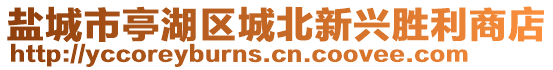 鹽城市亭湖區(qū)城北新興勝利商店