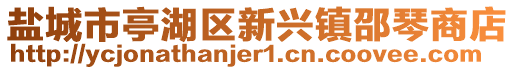 盐城市亭湖区新兴镇邵琴商店