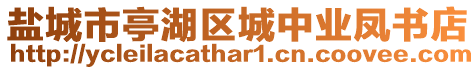 鹽城市亭湖區(qū)城中業(yè)鳳書店