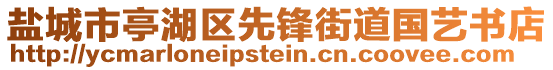 鹽城市亭湖區(qū)先鋒街道國(guó)藝書(shū)店