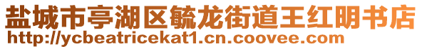 鹽城市亭湖區(qū)毓龍街道王紅明書(shū)店