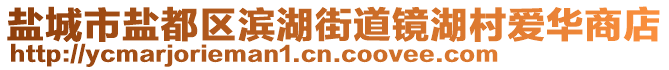 鹽城市鹽都區(qū)濱湖街道鏡湖村愛華商店