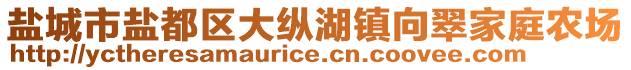 鹽城市鹽都區(qū)大縱湖鎮(zhèn)向翠家庭農(nóng)場(chǎng)