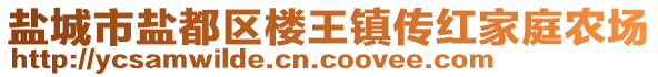 鹽城市鹽都區(qū)樓王鎮(zhèn)傳紅家庭農(nóng)場