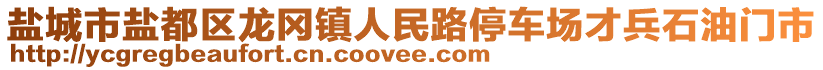 鹽城市鹽都區(qū)龍岡鎮(zhèn)人民路停車場才兵石油門市