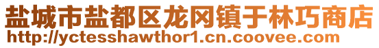 鹽城市鹽都區(qū)龍岡鎮(zhèn)于林巧商店