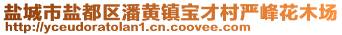 鹽城市鹽都區(qū)潘黃鎮(zhèn)寶才村嚴(yán)峰花木場