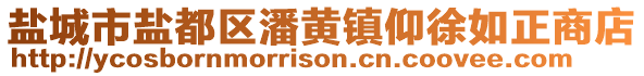 鹽城市鹽都區潘黃鎮仰徐如正商店