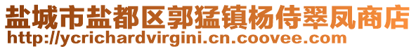 鹽城市鹽都區(qū)郭猛鎮(zhèn)楊侍翠鳳商店