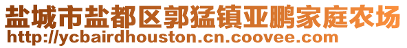 盐城市盐都区郭猛镇亚鹏家庭农场