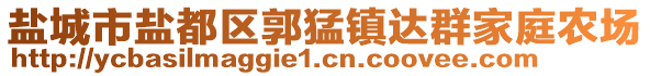 盐城市盐都区郭猛镇达群家庭农场