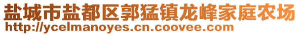 盐城市盐都区郭猛镇龙峰家庭农场